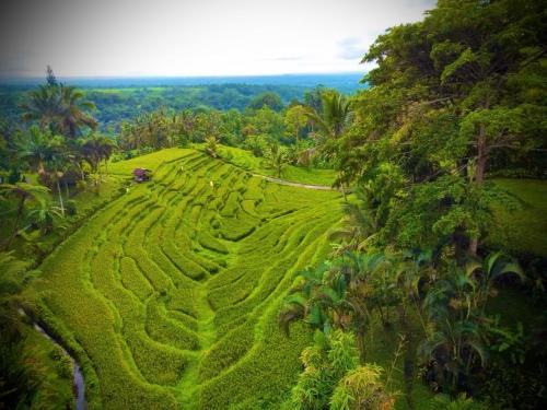 Selemadeg Villa | Faraway Mount Batukaru