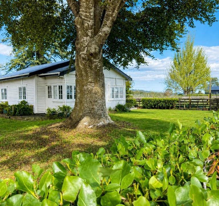 Tamahere House | Farm Stay | Near Airport & Mystery Creek