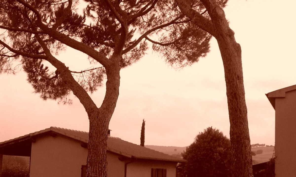 Magliano in Toscana House | Farmhouse with wine cellar near the sea, Saturnia Spa and Nature Park