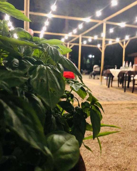 Manduria House | Fattoria Il Noce B&B