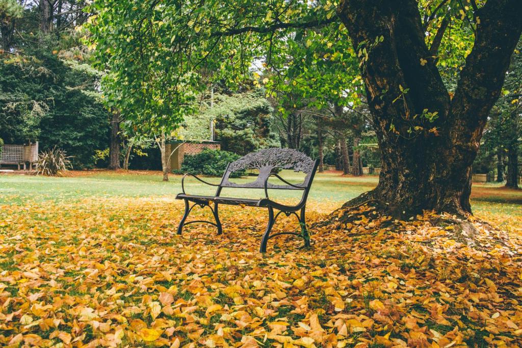 Blackheath Cabin | Federation Gardens & Possums Hideaway