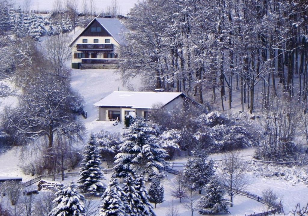 Duedinghausen Ski Chalet | Ferienbungalow Nähe Willingen-Winterberg