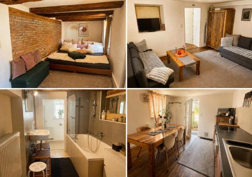 Rosengarten Apartment | Ferieninrosengarten - Wohnung Erdgeschoss Süd