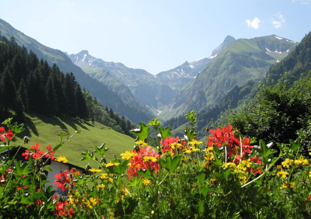 Oberstdorf Hotel | Ferienparadies Spielmannsau