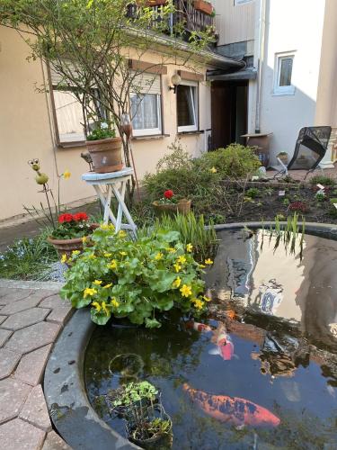Einbeck Apartment | Ferienwohnung Bongartz