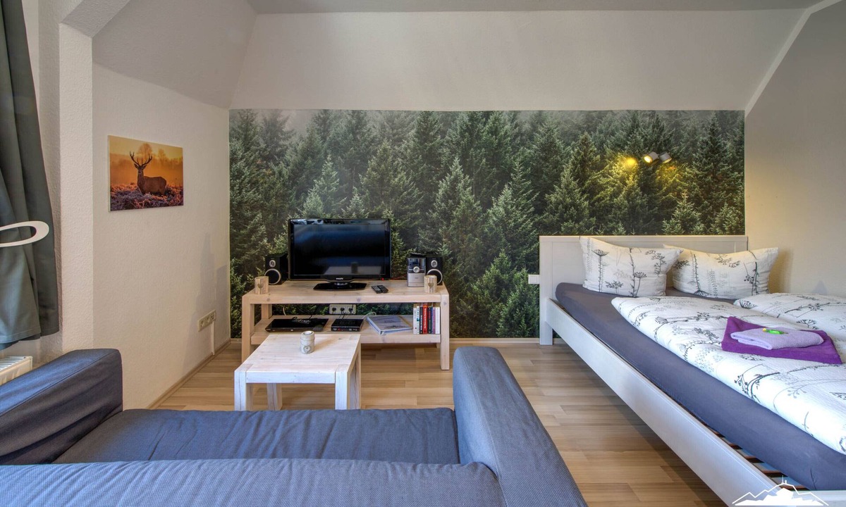 Schierke Apartment | Ferienwohnung Brockenzwerg
