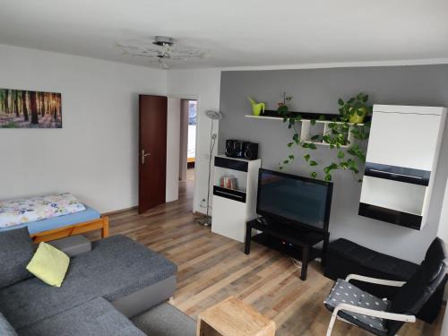 Neckarsteinach Apartment | Ferienwohnung Darsberg
