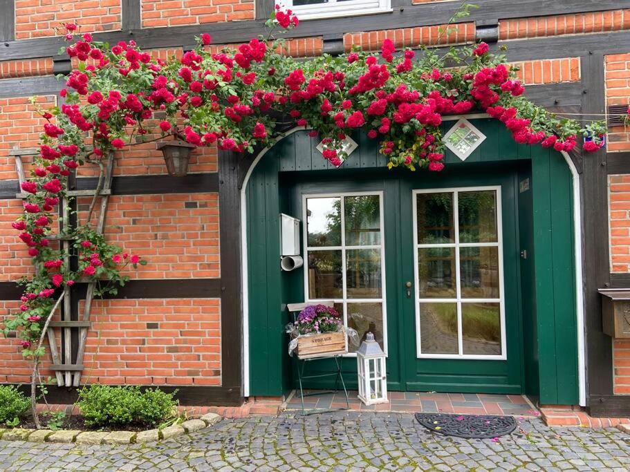 Daulsen Apartment | Ferienwohnung „Gartenblick“