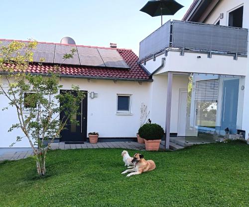 Peiting Apartment | Ferienwohnung IDA