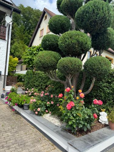 Goessweinstein Apartment | Ferienwohnung im Grünen
