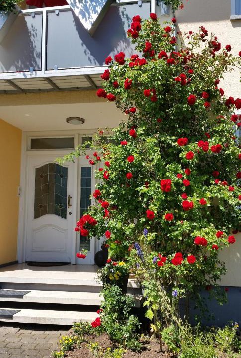 Sankt Wendel Apartment | Ferienwohnung Kirsch