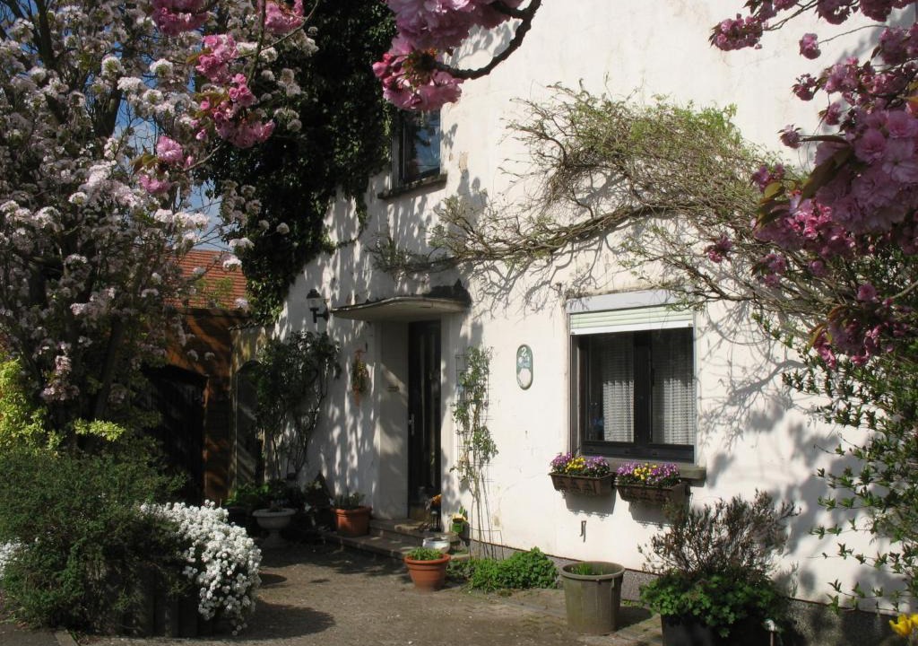 Neunkirchen Apartment | Ferienwohnung Kirschblüte