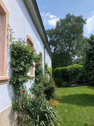 Hasborn-Dautweiler Apartment | Ferienwohnung Maurer