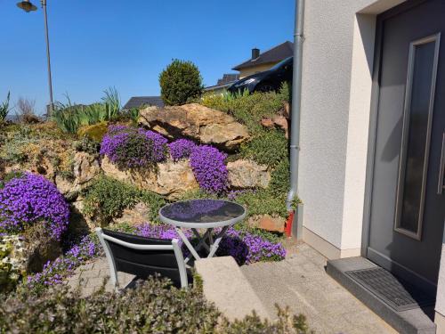 Platten Apartment | Ferienwohnung Ries am Weinberg