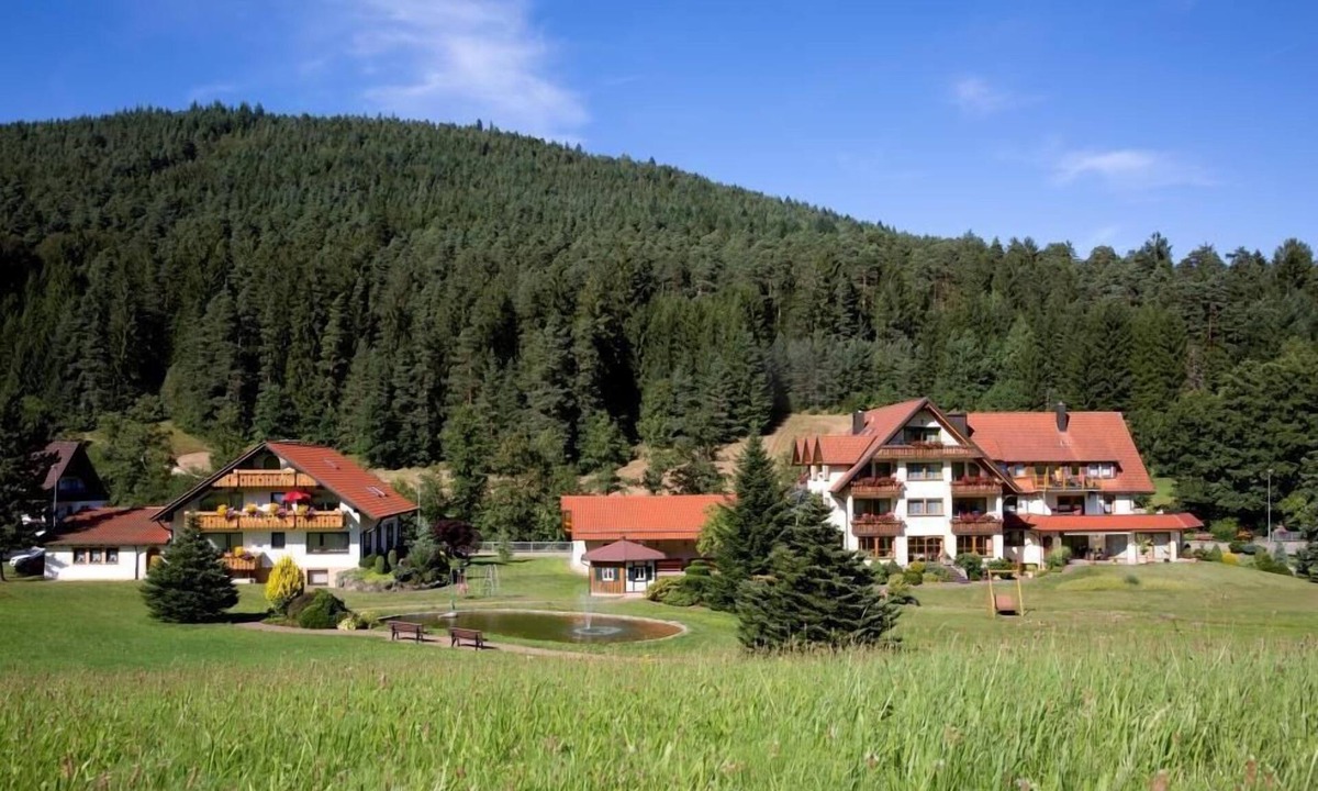 Tonbach Apartment | Ferienwohnung Typ C 41, 40qm, 1 Wohn-/Schlafzimmer, max. 3 Personen