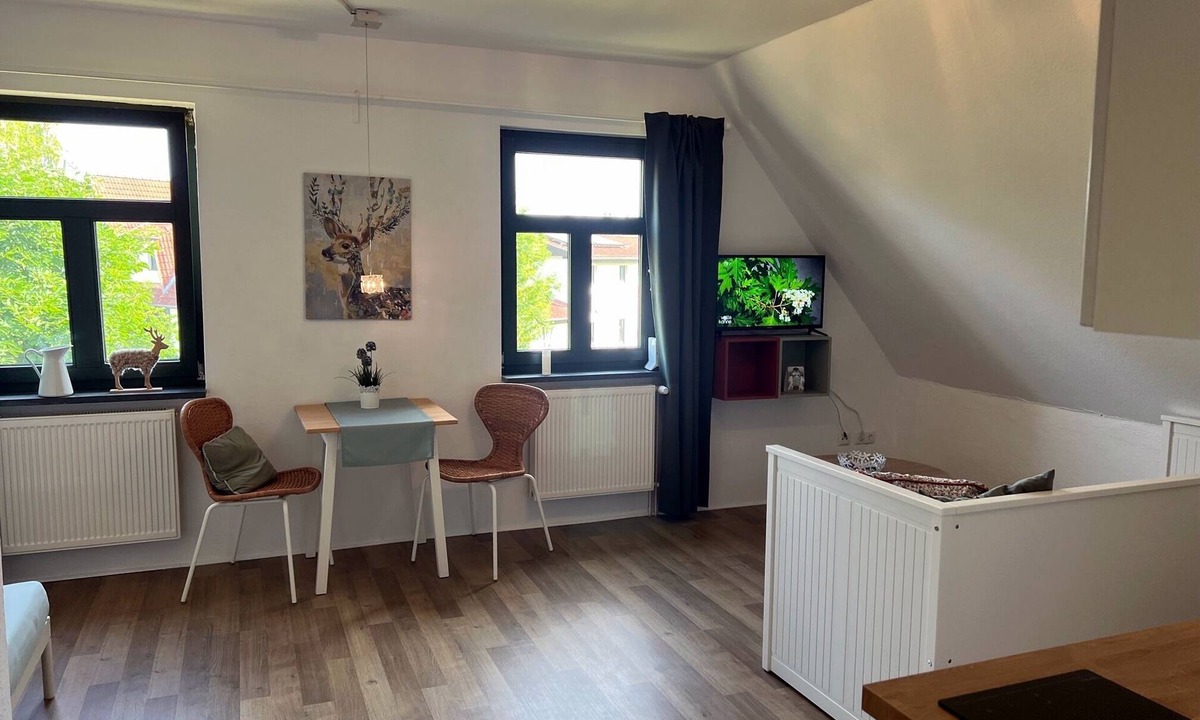 Dargun Apartment | Ferienwohnung Vilm Alte Schule Barlin Mecklenburg Pool