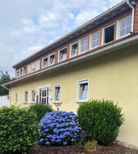 Scheidt Apartment | Ferienwohnung Waldblick
