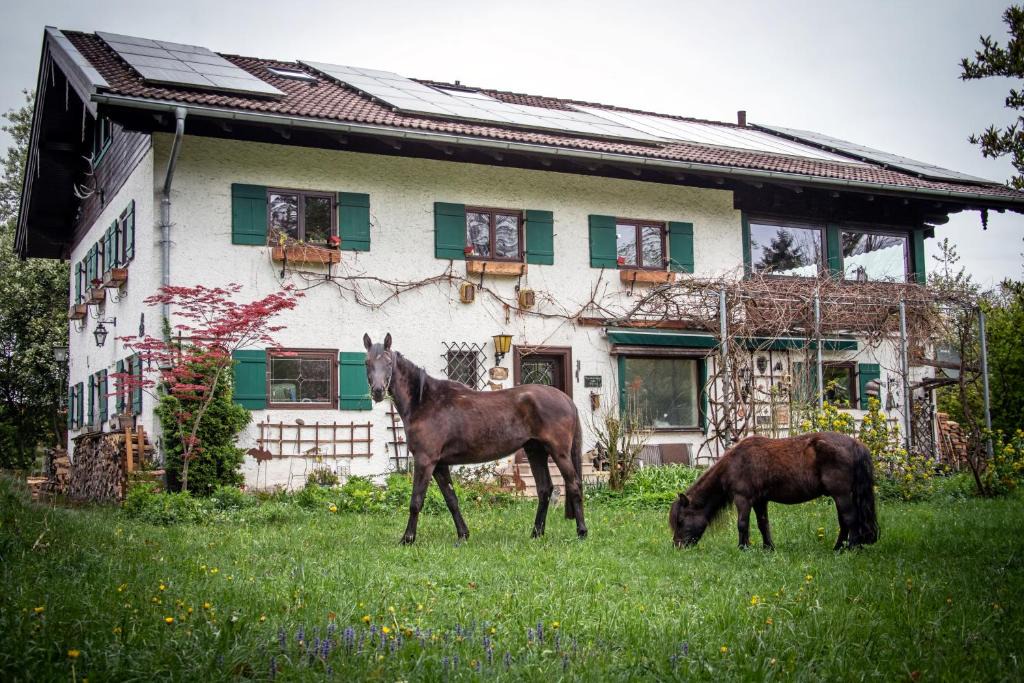 Bad Feilnbach Apartment | Ferienwohnungen Eisele "Die mit dem Pferd"