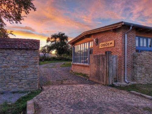 Ticusu Vechi House | Ferma de Biodiversitate COBOR