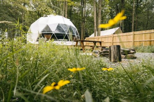 Greentown Other | Ferncrest Campground