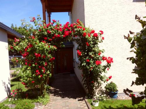Beverungen Apartment | Fewo 2