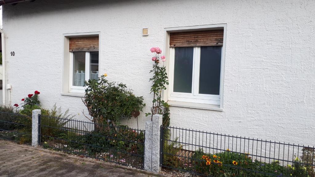 Bodenwerder Apartment | Fewo Ausblicke