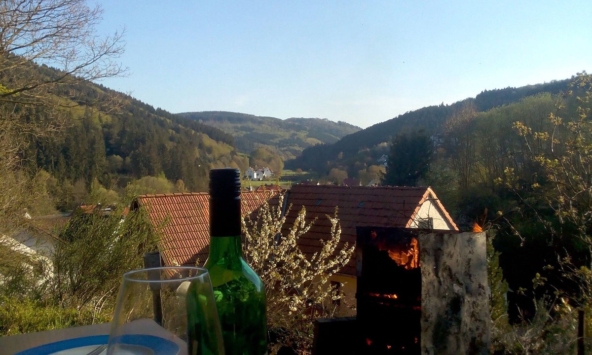 Bontkirchen House | Fewo Pacohaus Nahe Willingen/Diemelsee Berg und Wald