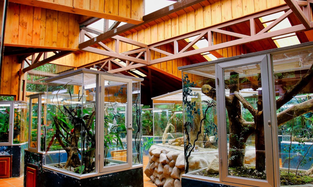 Santa Elena Hotel | Ficus Sunset Suites