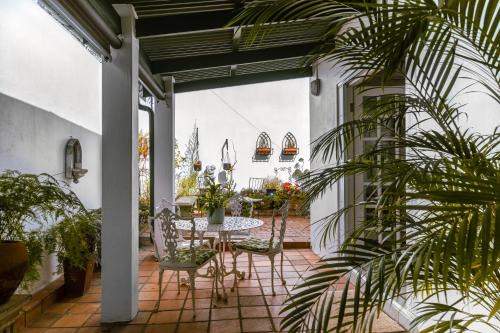 Brooklyn Apartment | Fig Tree