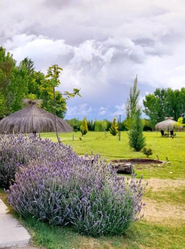 Cuadro Nacional House | Finca el Colibrí