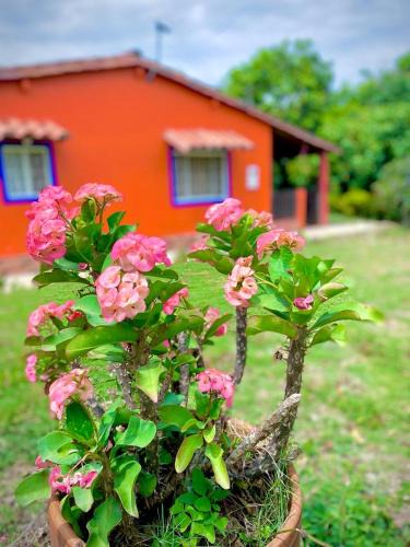 Pinchote House | Finca el Paraíso