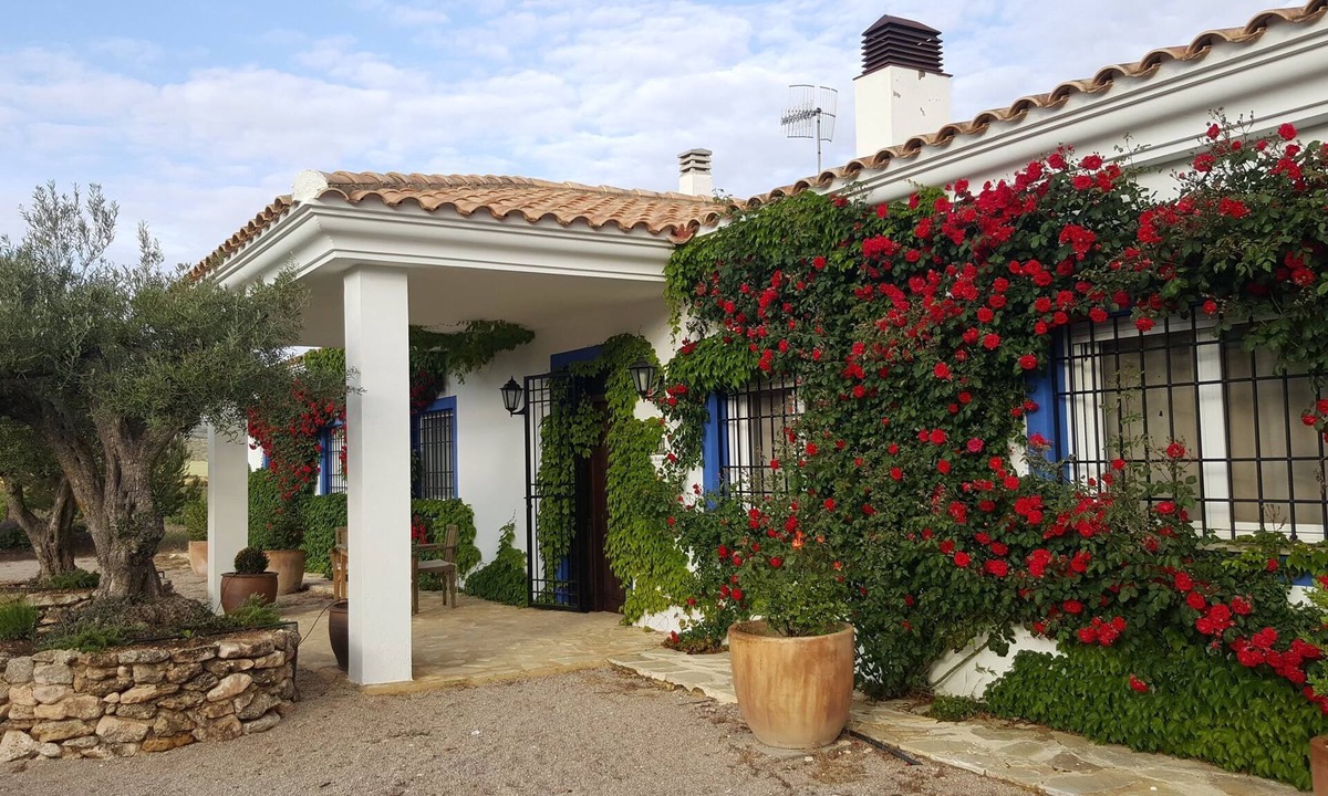 Alpera House | Finca El Romeral