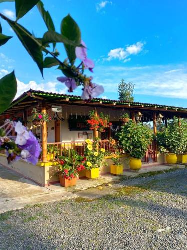 La Estrella House | FINCA HOTEL DON JULIO