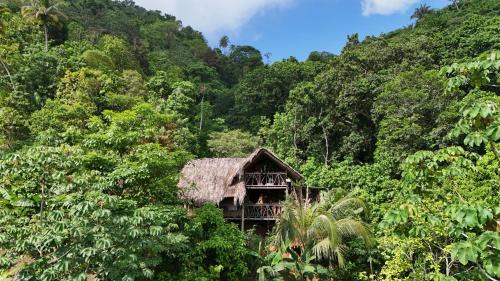 Buritaca Cabin | Finca La Selvita Chocolate experience