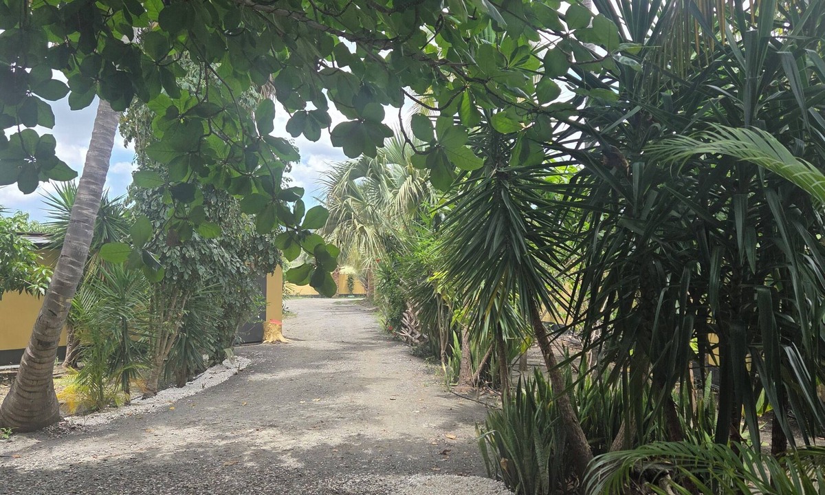 Bani Apartment | Finca verde