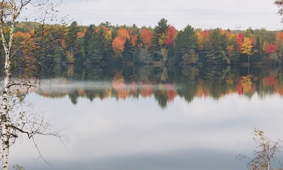 Mio Cottage | Firefly Cottage