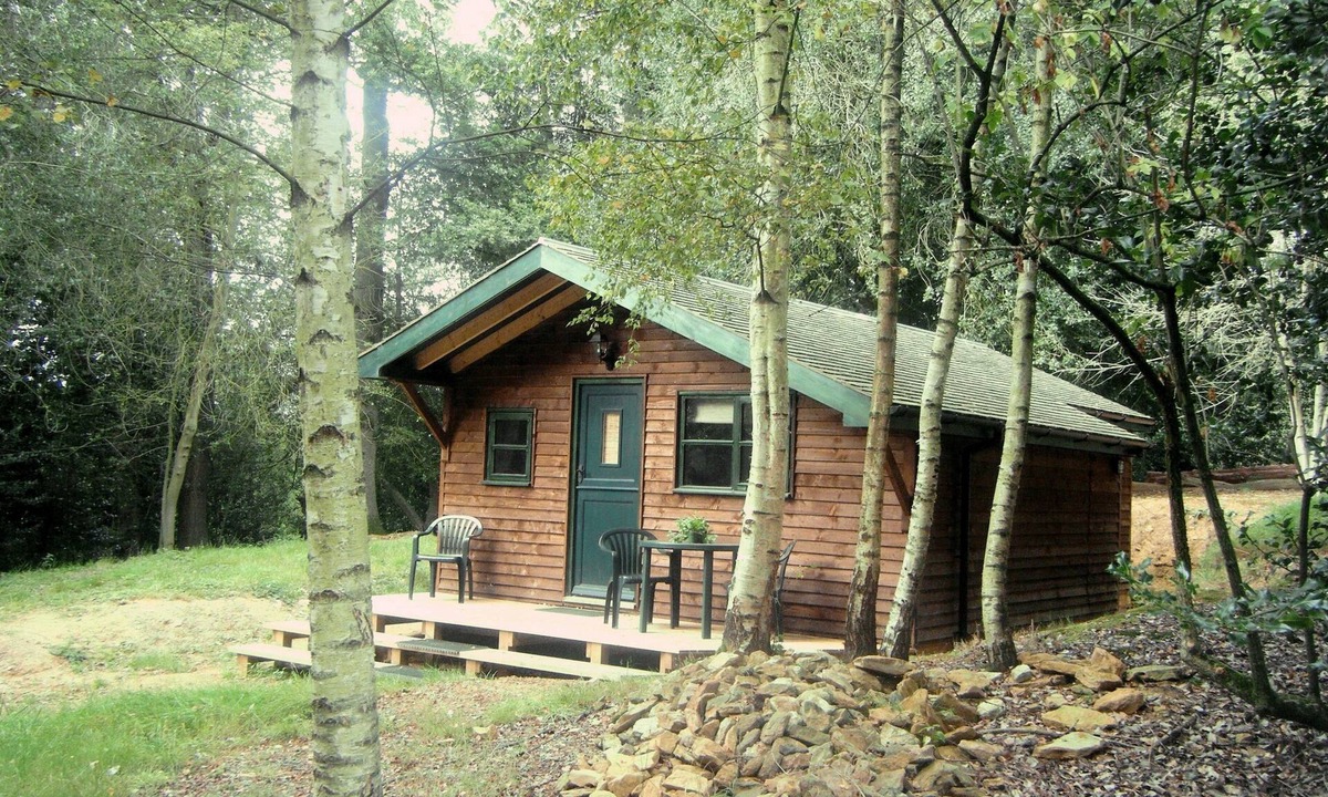 Chilworth Cabin | Five Pines - peaceful & secluded woodland cabin in Surrey Hills
