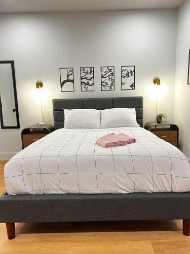 Downtown Halifax Apartment | Flamingo Grove, Vibrant Studio #211, Downtown, AC