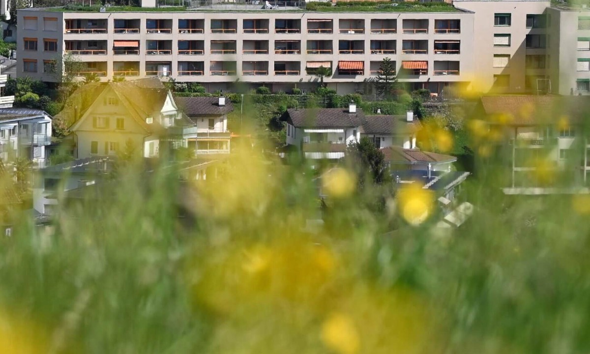 Weggis Apartment | Flat Alpenblick/C1