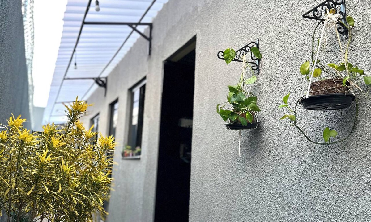 Plano Diretor Sul House | Flat Davisis - Parada do Jalapão