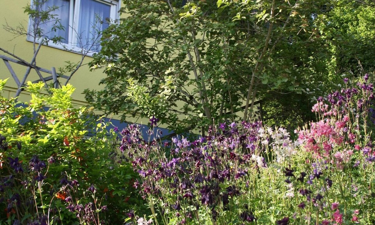 Gemarkung Horschwag House | Flat "Holiday flat Palmgarten"