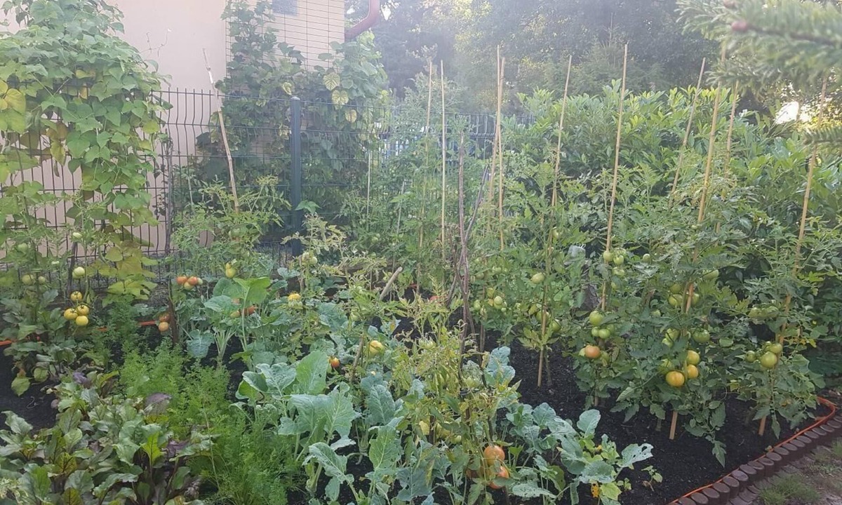 Zarnowska Apartment | Flat in Żarnowska with large garden