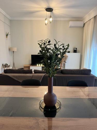Xanthi Apartment | Flat30 - Cosy apartment in Park of Kipseli- Xanthi