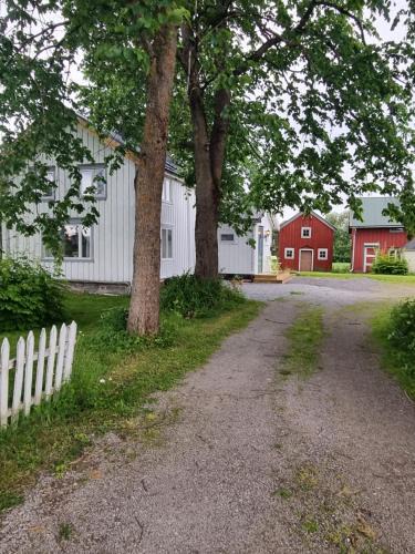 Snasa House | Flekkan gård