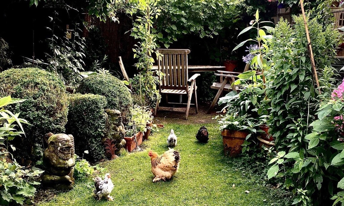 Middenmeer House | Fleur d'Amsterdam, Safe, Clean, Cosy and Happy! 2 to 4 persons