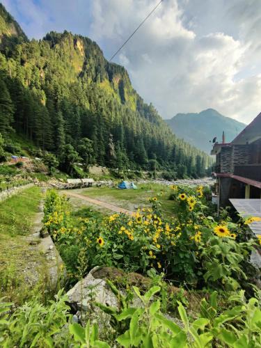 Kasol Hotel | Flipsyde Retreat