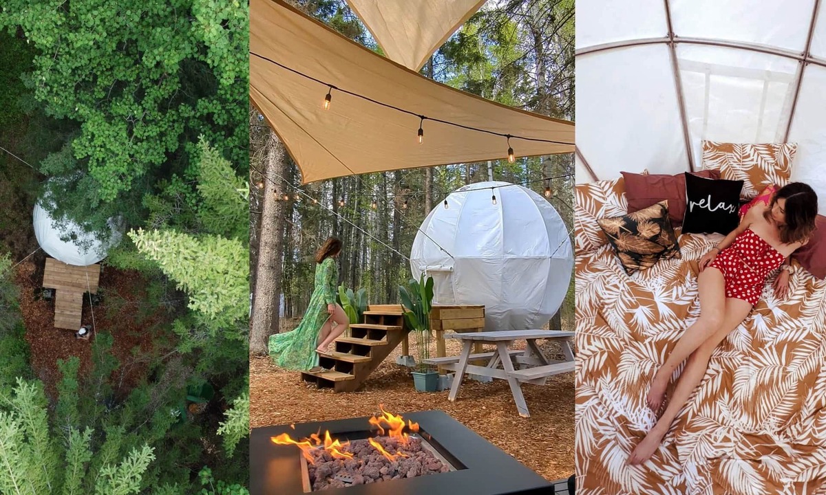 Winfield House | Floating Treehouse Cocoon - The Firefly