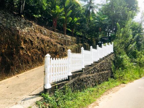 Thawalama Hotel | Forest Edge Kanneliya
