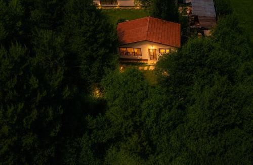 Covasna Villa | Forest Hide Tiny House