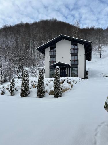 Moieciu Villa | Forest House